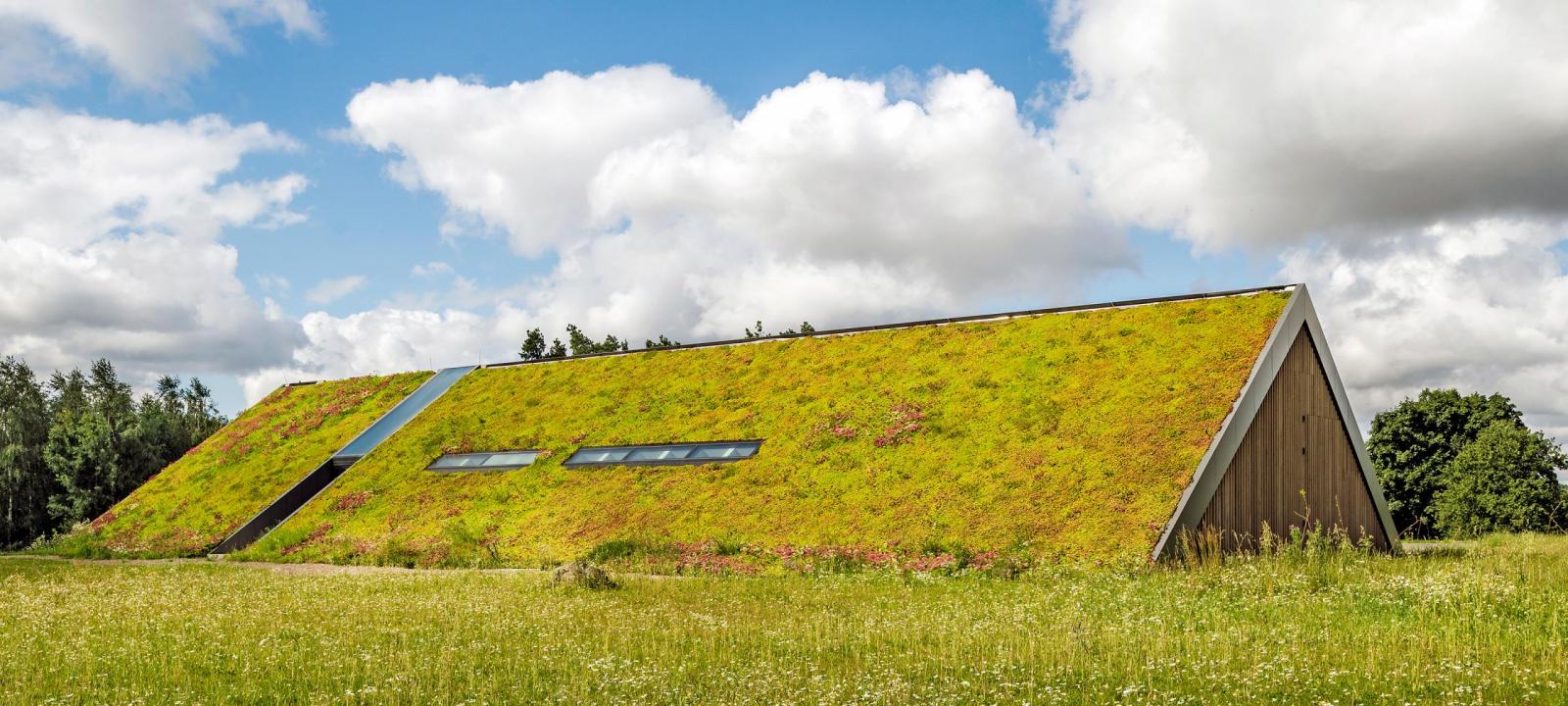 Steep pitched green roof with Sedum